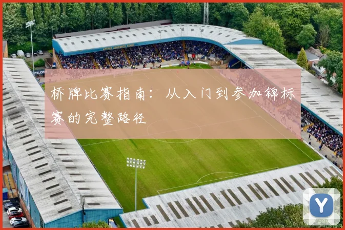 桥牌比赛指南:从入门到参加锦标赛的完整路径